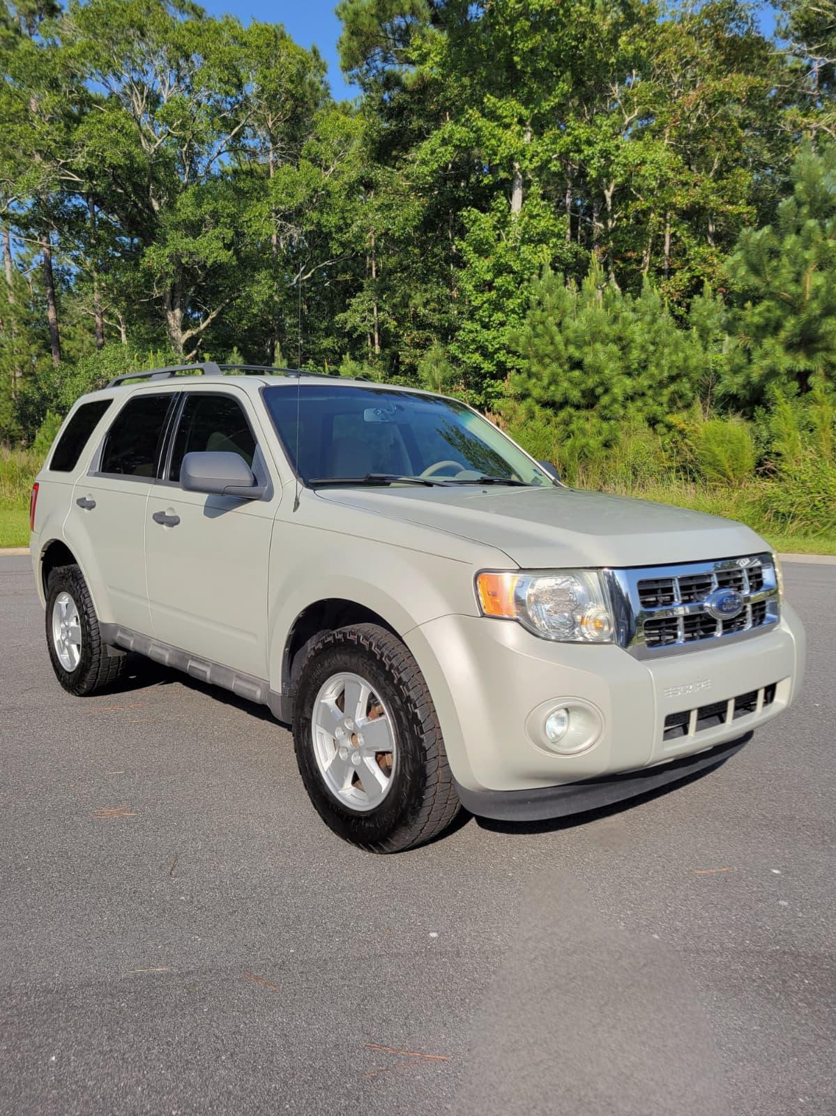 2011 Ford Escape XLT in Light Sage